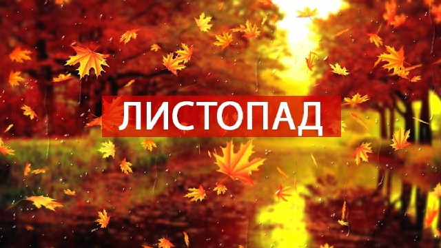 Відеозвіти заходів Центру культури та дозвілля за листопад 2024 р.